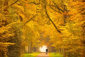 Herfstlaan