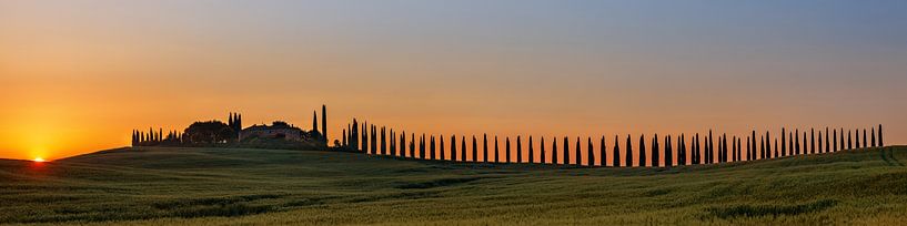 Toskanisches Panorama mit Zypressen, Italien von Adelheid Smitt