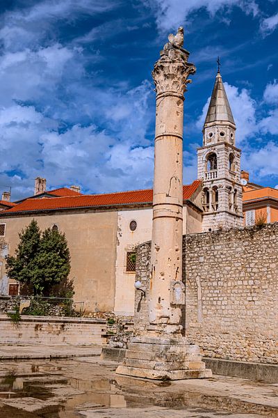 Croatie : Pilier de la honte à Zadar par Photoart-Naegele