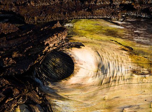 L'œil qui voit tout sur Erna Kampman