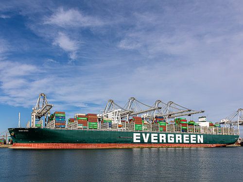 Toujours donné sur Havenfotos.nl(Reginald van Ravesteijn)