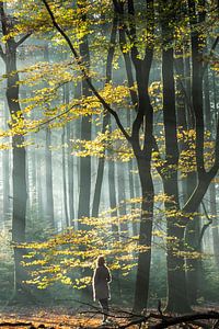 Mädchen im Speulderwald von Peter Haastrecht, van