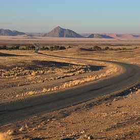 Landschap in Namibië von Toon Loonen