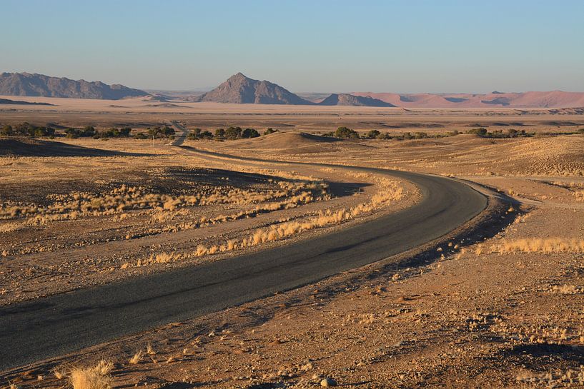Landschap in Namibië par Toon Loonen