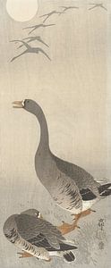 Zwei Gänse aus Ohara Koson