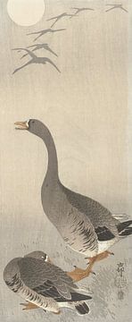 Two geese from Ohara Koson