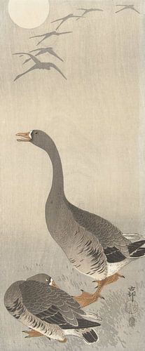 Twee ganzen van Ohara Koson