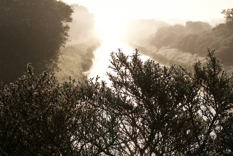 De Zilk von Ton van Leeuwen