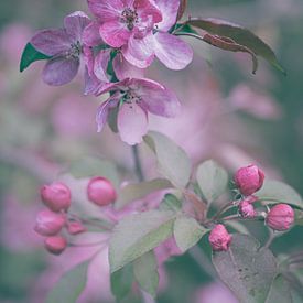 Bloemen part 443 van Tania Perneel