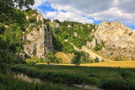 Le Danube près de Fridingen avec le point de vue de Burgstall et Stiegelesfels - Parc naturel du Haut-Danube sur BlattArt - Christine Horn