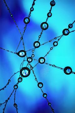 Netz aus Reflexionen. Subtiles Zusammenspiel von Wasserfarbe und Energie.