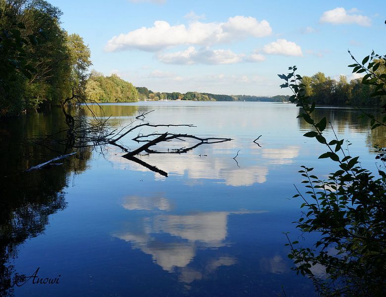 Unterbacher See von Iwona Sdunek alias ANOWI