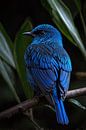 Blue bird on branch by Art & Soul Creations thumbnail