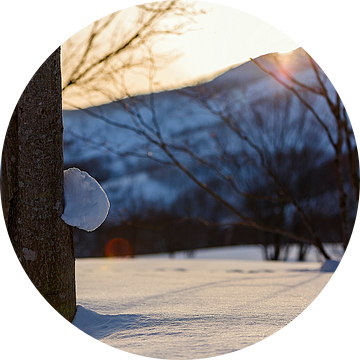 Zonsondergang winters  Niseko, Japan