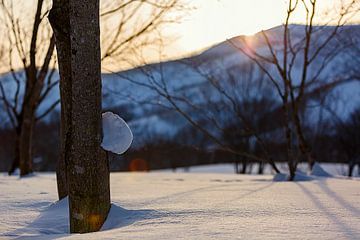 Zonsondergang winters  Niseko, Japan