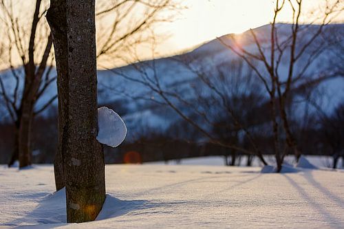 Sunset winters Niseko, Japan
