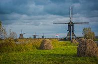 Blokweerse molen bij Kinderdijk. van Adri Vollenhouw thumbnail