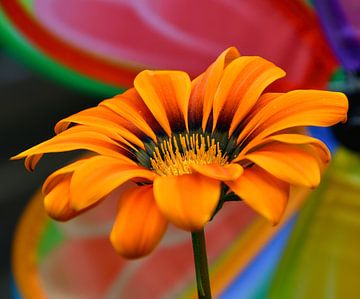 Vrolijk en gekleurde bloem deel 1 van Jolanda de Jong-Jansen