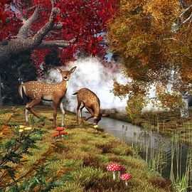 Animal Kingdom – Two deer in the forest by Jan Keteleer