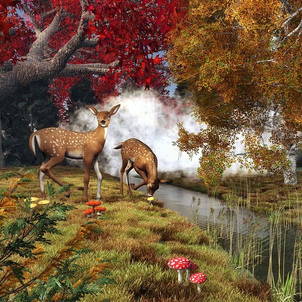 Tierreich  – Zwei Hirsche im Wald von Jan Keteleer