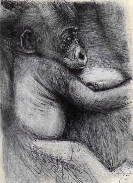 DOG by Vincent Jacobs