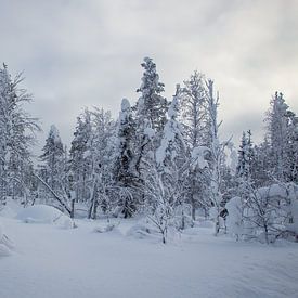 Snowy landscape van Renate Winder