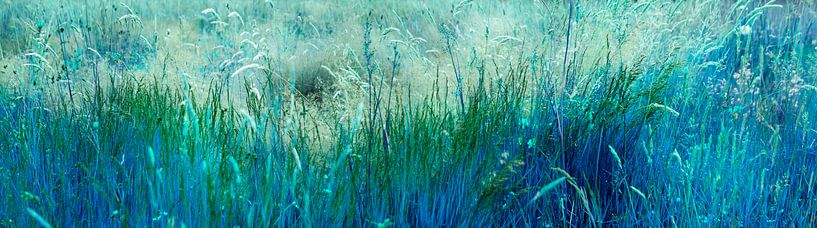 Blaues Gras von Corinne Welp