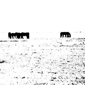paarden in zwart-wit van Tilja Jansma