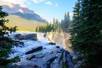 Arc-en-ciel aux chutes Athabasca - Promenade des Glaciers
