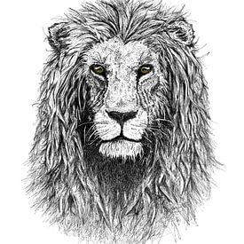 Lion von Willem Heemskerk