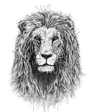 Lion von Willem Heemskerk