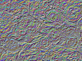 Blumenmeer XII von Maurice Dawson