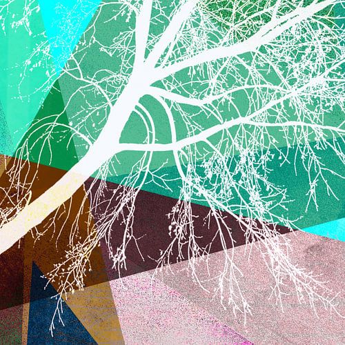 P16-H TREES AND TRIANGLES