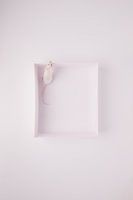 naughty white mouse
