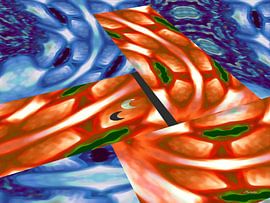 Platform (Landing) van Ton van Hummel (Alias HUVANTO)