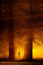 Inferno by Bram de Jong