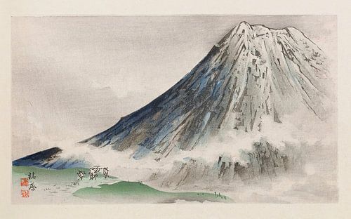 Takeuchi Seihō - Seihō jūni Fuji, Pl.08 (1894)