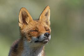 Genieten von Ruud Bakker