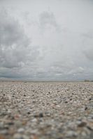 Schelpenpad op het strand