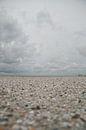 Schelpenpad op het strand von Foto van Anno Miniaturansicht