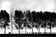 Cycling silhouettes van Leon van Bon thumbnail