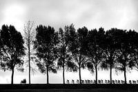 Radsport-Silhouetten