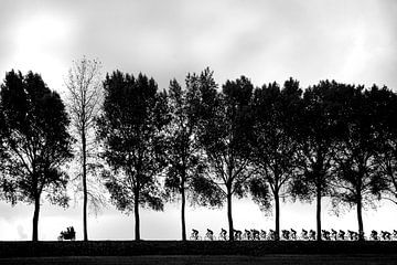 Silhouettes de cyclistes