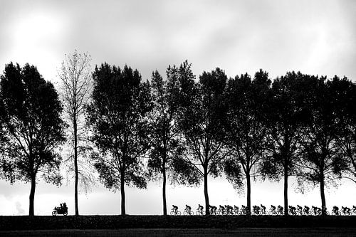 Cycling silhouettes van Leon van Bon