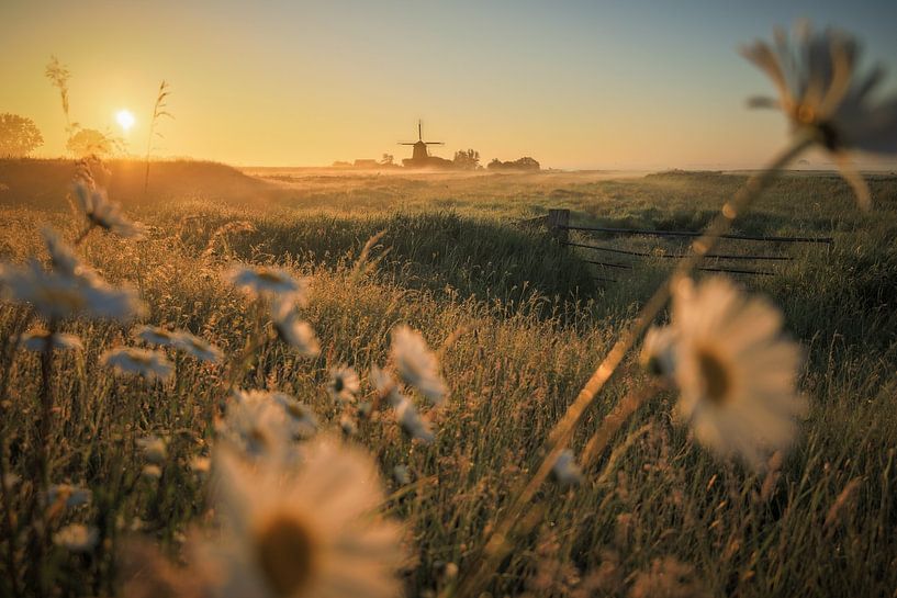 Magnifique lever de soleil dans le polder par Eefje John