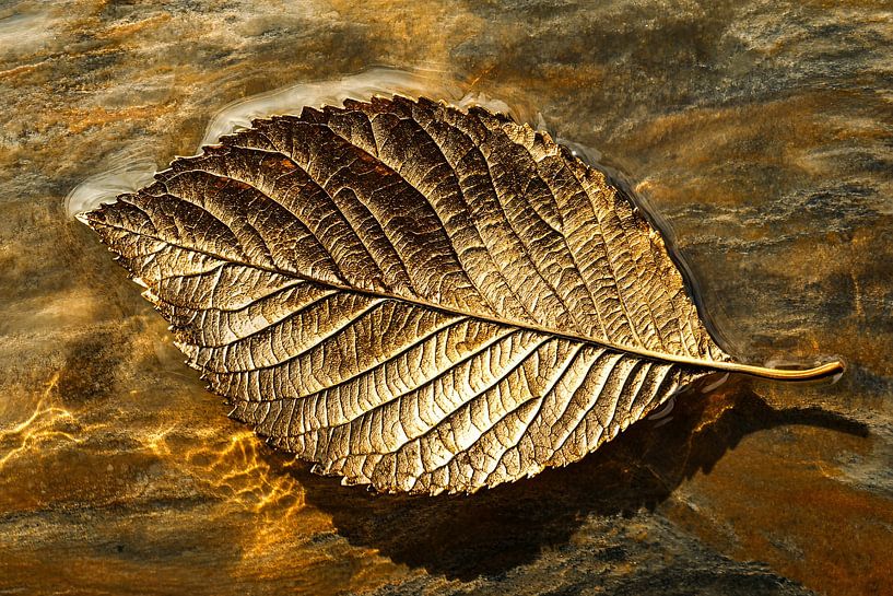 Feuille d'or à la surface de l'eau par Art & Soul Creations