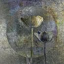 Tulips on metal. Taupe and blue. by Alie Ekkelenkamp thumbnail