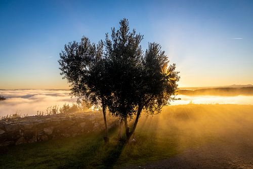 Vila Velha de Ródão at sunrise