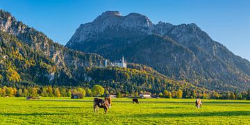 Neuschwanstein van Walter G. Allgöwer