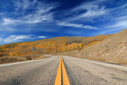 Road dissappearing in an autumn forest under a blue sky